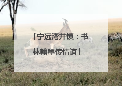 宁远湾井镇：书林翰墨传情谊