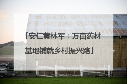 安仁黄林军：万亩药材基地铺就乡村振兴路