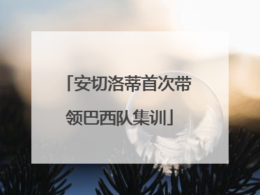 安切洛蒂首次带领巴西队集训