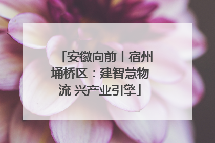 安徽向前丨宿州埇桥区：建智慧物流 兴产业引擎
