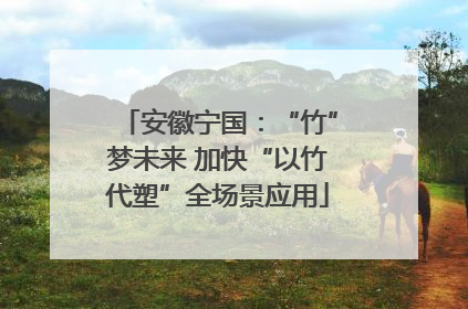 安徽宁国：“竹”梦未来 加快“以竹代塑”全场景应用