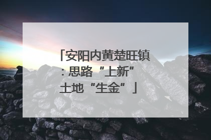 安阳内黄楚旺镇：思路“上新” 土地“生金”