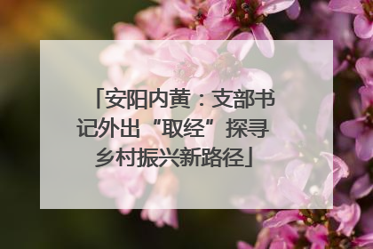 安阳内黄：支部书记外出“取经”探寻乡村振兴新路径