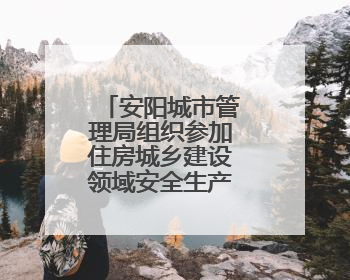安阳城市管理局组织参加住房城乡建设领域安全生产信息员培训