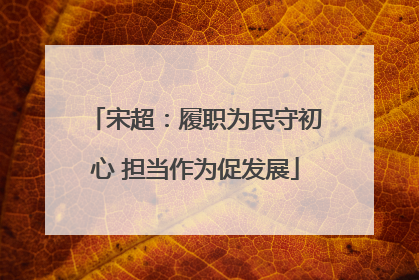 宋超：履职为民守初心 担当作为促发展