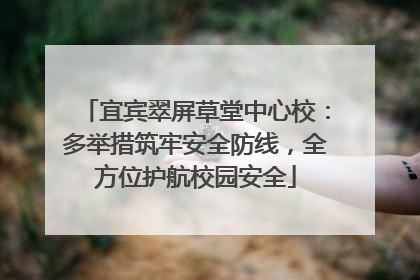 宜宾翠屏草堂中心校：多举措筑牢安全防线，全方位护航校园安全