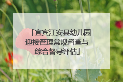 宜宾江安县幼儿园迎接管理常规督查与综合督导评估