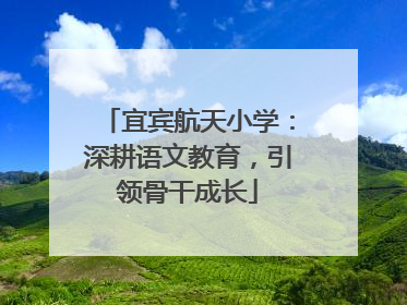 宜宾航天小学：深耕语文教育，引领骨干成长