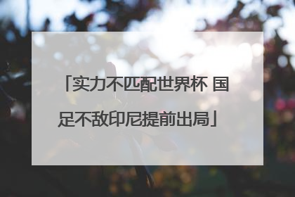 实力不匹配世界杯 国足不敌印尼提前出局