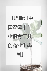 塔斯汀中国汉堡｜与小镇青年共创商业生态圈