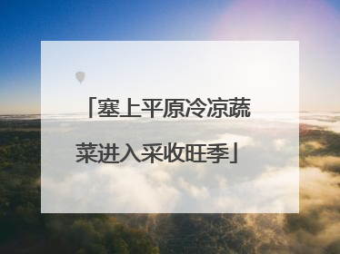 塞上平原冷凉蔬菜进入采收旺季