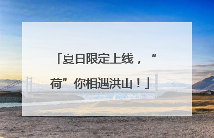 夏日限定上线，“荷”你相遇洪山！