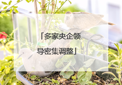 多家央企领导密集调整