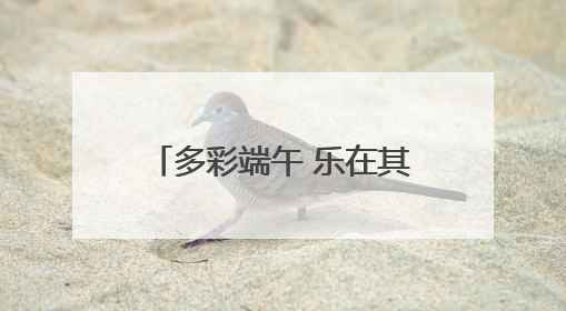 多彩端午 乐在其“粽” 遂昌这场端午活动有趣又温馨
