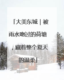 大美东城｜被雨水吻过的荷塘，藏着整个夏天的温柔