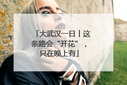 大武汉一日丨这条路会“开花”，只在晚上有