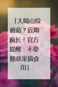 大蜀山捡蘑菇？近期疯长！官方提醒：不要随意采摘食用