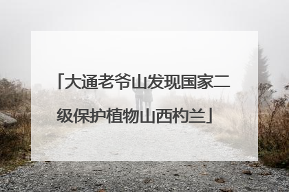 大通老爷山发现国家二级保护植物山西杓兰