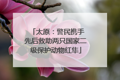 太原：警民携手 先后救助两只国家二级保护动物红隼
