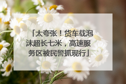 太夸张！货车载泡沫超长七米，高速服务区被民警抓现行