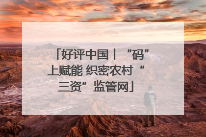 好评中国丨“码”上赋能 织密农村“三资”监管网