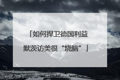 如何捍卫德国利益 默茨访美很“烧脑”