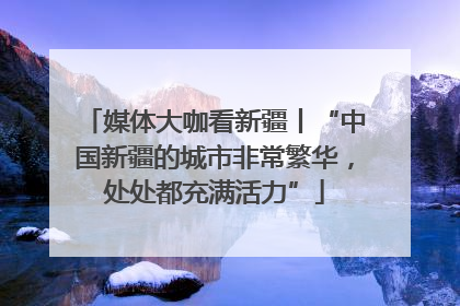 媒体大咖看新疆丨“中国新疆的城市非常繁华，处处都充满活力”