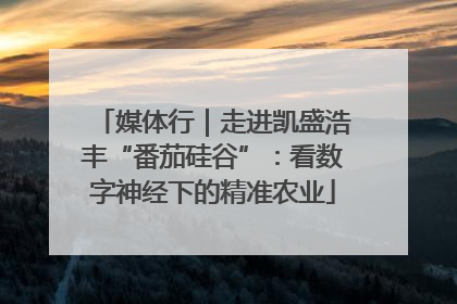 媒体行｜走进凯盛浩丰“番茄硅谷”：看数字神经下的精准农业