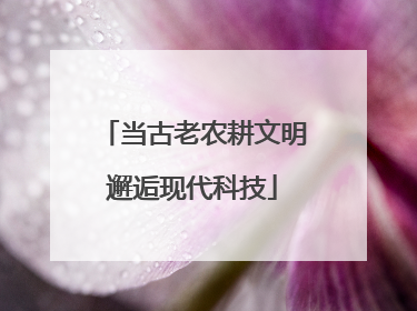 当古老农耕文明邂逅现代科技
