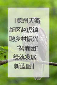 德州天衢新区赵虎镇聘乡村振兴“智囊团” 绘就发展新蓝图