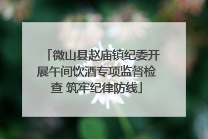 微山县赵庙镇纪委开展午间饮酒专项监督检查 筑牢纪律防线
