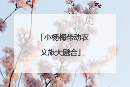小杨梅带动农文旅大融合