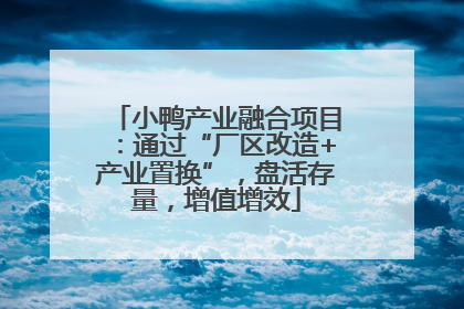 小鸭产业融合项目：通过“厂区改造+产业置换”，盘活存量，增值增效