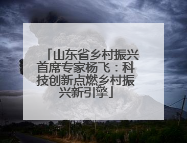山东省乡村振兴首席专家杨飞：科技创新点燃乡村振兴新引擎