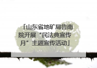 山东省地矿局鲁南院开展“民法典宣传月”主题宣传活动