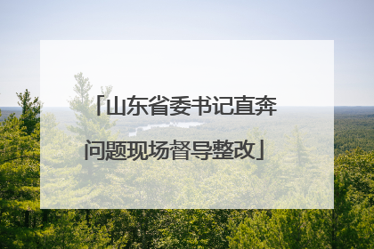 山东省委书记直奔问题现场督导整改