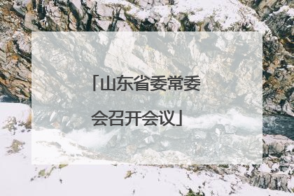 山东省委常委会召开会议