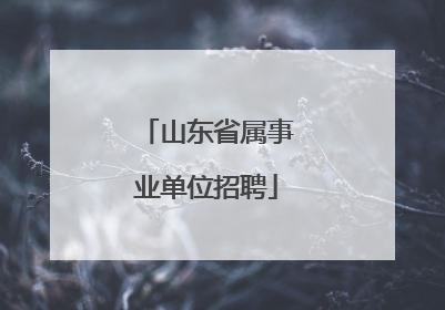 山东省属事业单位招聘