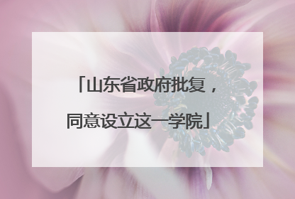 山东省政府批复，同意设立这一学院