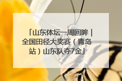 山东体坛一周回眸｜全国田径大奖赛（青岛站）山东队夺7金