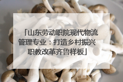 山东劳动职院现代物流管理专业：打造乡村振兴职教改革齐鲁样板