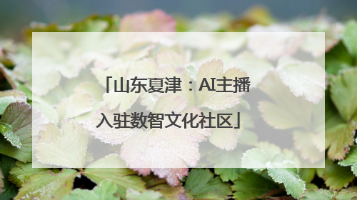 山东夏津：AI主播入驻数智文化社区