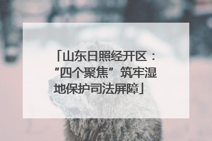 山东日照经开区：“四个聚焦”筑牢湿地保护司法屏障