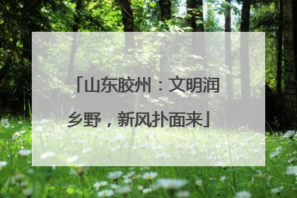 山东胶州：文明润乡野，新风扑面来