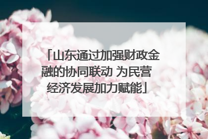 山东通过加强财政金融的协同联动 为民营经济发展加力赋能