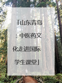 山东青岛：中医药文化走进国际学生课堂