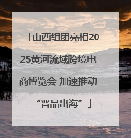 山西组团亮相2025黄河流域跨境电商博览会 加速推动“晋品出海”