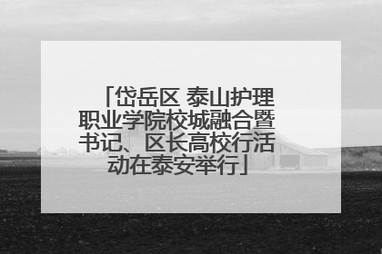 岱岳区 泰山护理职业学院校城融合暨书记、区长高校行活动在泰安举行