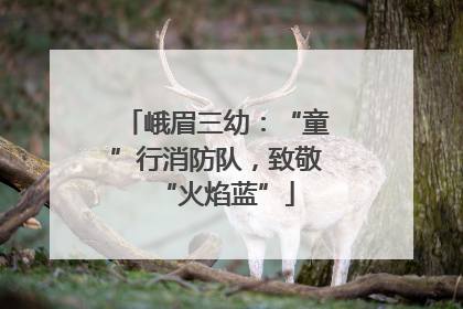峨眉三幼：“童”行消防队，致敬“火焰蓝”