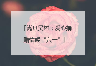 嵩县吴村：爱心捐赠情暖“六一”